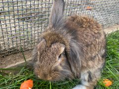 -祥源·阜阳生态乐园