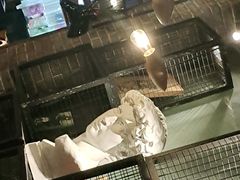 -798餐厅(任丘路店)