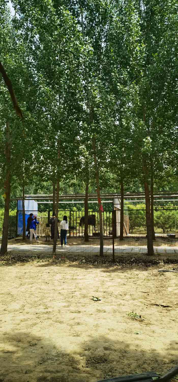 鹊华开心农场-"周末一家人打卡鹊华开心农场,其实主要是来.