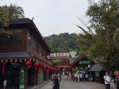 -野象谷景区