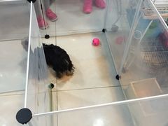 -乐宠宠物店(世纪金源店)