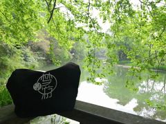 -阿哈湖国家湿地公园