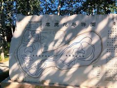 -北京麋鹿生态实验中心