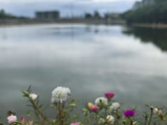-火炉山森林公园