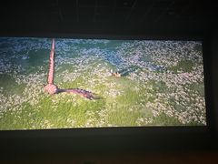 -华美国际影城(旧宫永辉店)