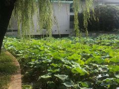 -绍兴鉴湖君澜大酒店