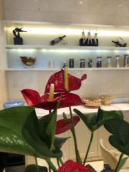 点击看大图 -昆明梦想医疗美容医院