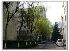 -陕西师范大学(雁塔校区)