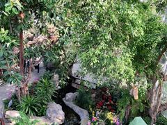 -北京植物园-展览温室
