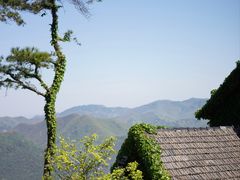 -莫干山风景区