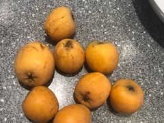 -王家渡火锅店(棕榈泉店)