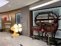 -新白鹿餐厅(虹桥南丰城店)