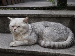 -她说户外烧烤团建(西湖店)