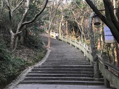 -普陀山慧济禅寺