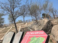 -白水寺森林公园