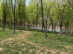 -大兴滨河森林公园