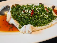 白水鱼-一麦·龙岛(上海青浦店)