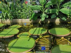 -北京植物园南门售票处