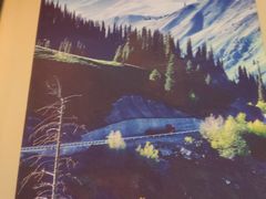 -西域阿里马新疆菜·清真(桂花路店)