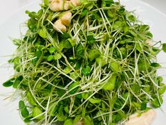 香椿苗拌桃仁-玉林烤鸭店(定福庄店)