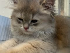 -万达广场(临港店)