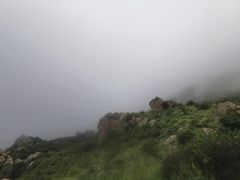 -白草畔自然风景区