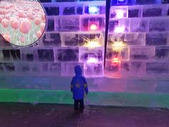 -长春公园(普阳街道)