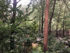 -碓臼峪自然风景区