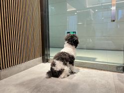 -MASTER 男士发型设计