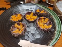-月龍吟(朝龙汇店)