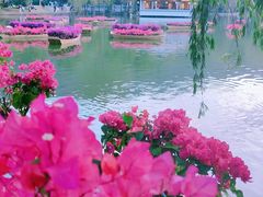 -广州市白云山风景名胜区