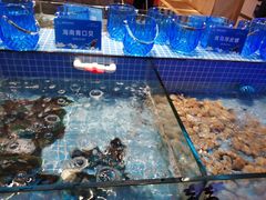 -小天鹅戴斯酒店鲸鲨百汇创作料理