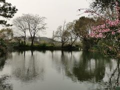-树山生态村