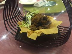 -碧丽宫大酒店(召稼楼店)
