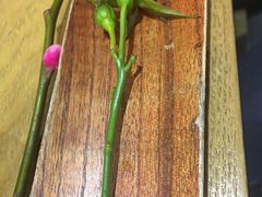 -水之惠鲜鱼料理(王府大街店)