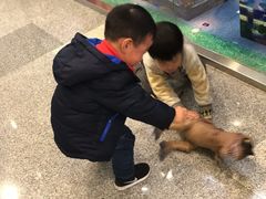 -西缘牛排(荟聚购物中心店)