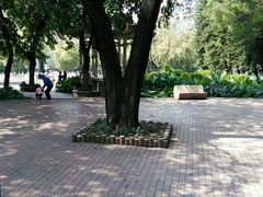 -晓港公园