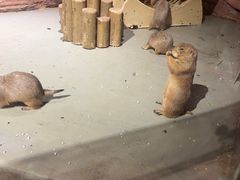 -正佳雨林生态植物园