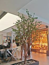 -付军剪艺JF ProSalon