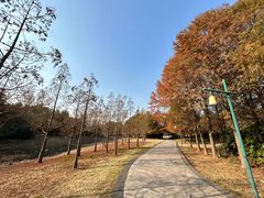-同里国家湿地公园