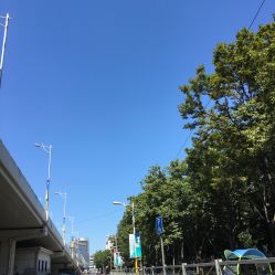 -董小姐的店