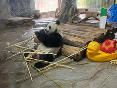 -海南热带野生动植物园