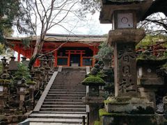 -奈良公园