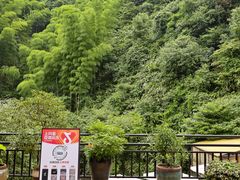 -将军关探险漂流