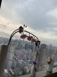 -久匠·纹眉半永久野生眉