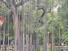 -哈尔滨文化公园