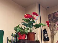 -70後铁锅炖(坡博总店)