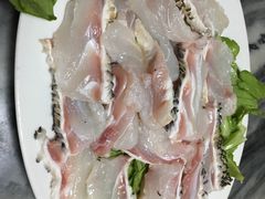 石斑-金砂阿洲鱼册店