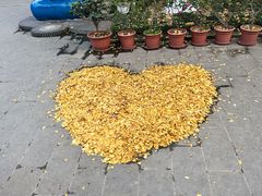 -LINLEE林里·手打柠檬茶(锦江太古里店)