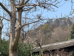 -狼山风景名胜区